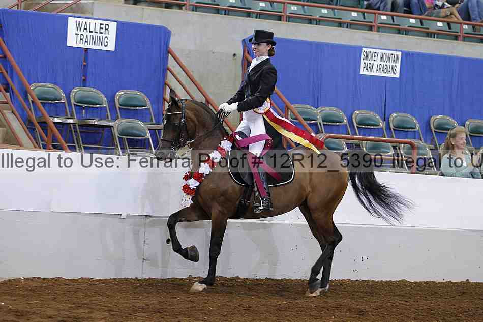 Proof Number 12r12_5390
