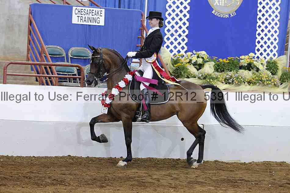 Proof Number 12r12_5391