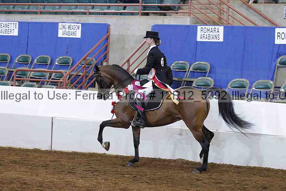 Proof Number 12r12_5392