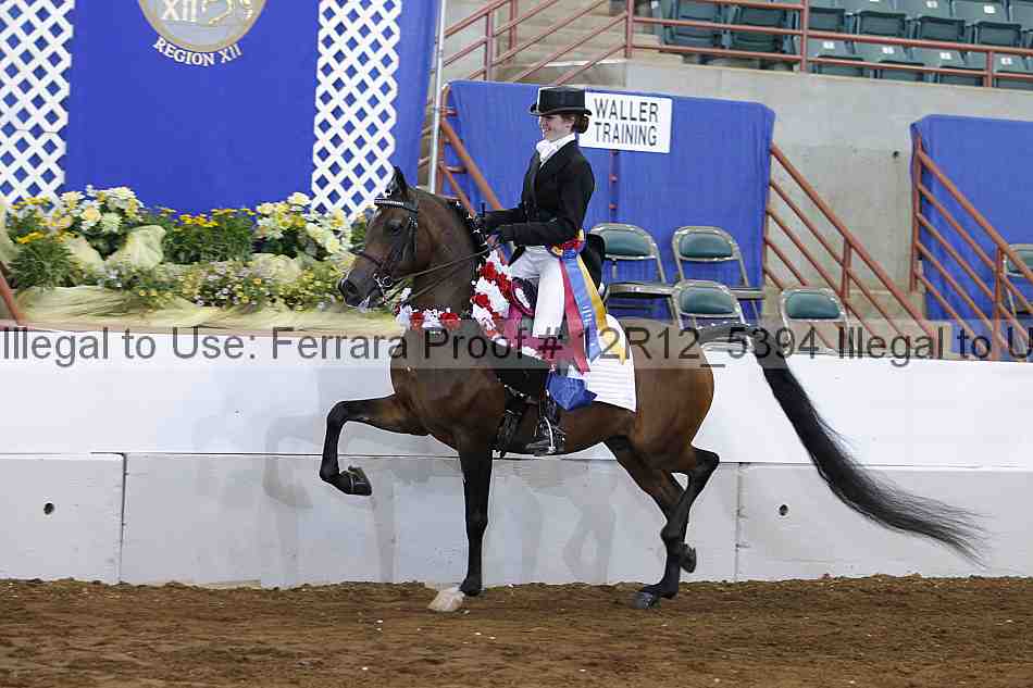 Proof Number 12r12_5394