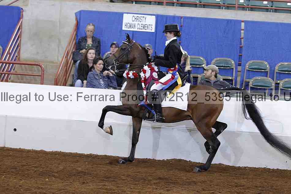 Proof Number 12r12_5395
