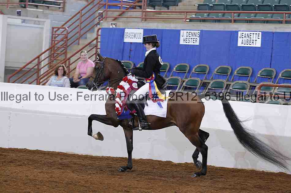 Proof Number 12r12_5396