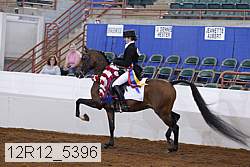 12r12_5396 thumbnail