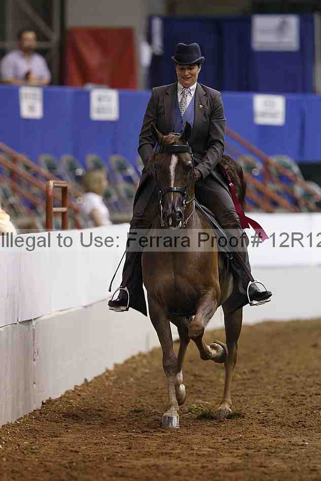 Proof Number 12r12_5421
