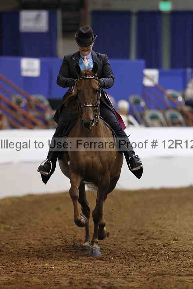 Proof Number 12r12_5422