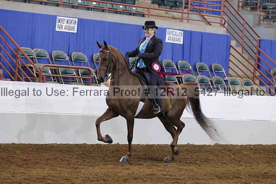 Proof Number 12r12_5427