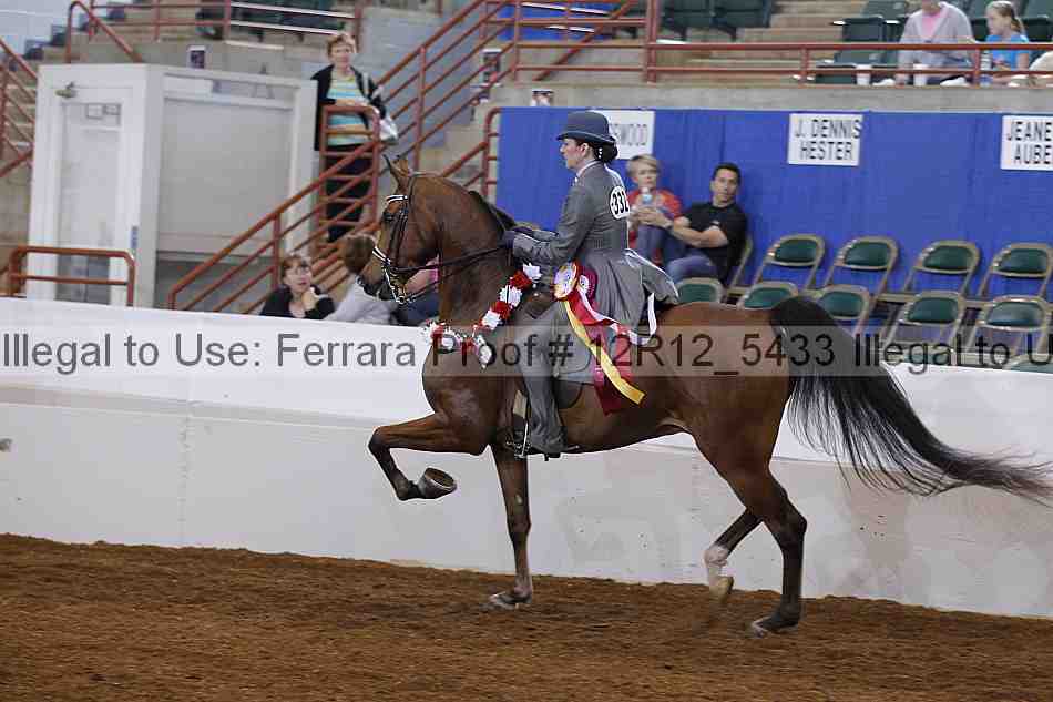 Proof Number 12r12_5433