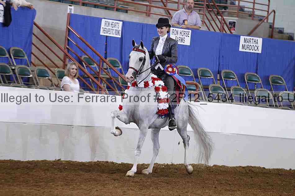 Proof Number 12r12_5434