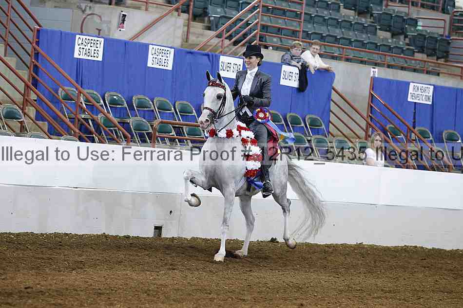 Proof Number 12r12_5435