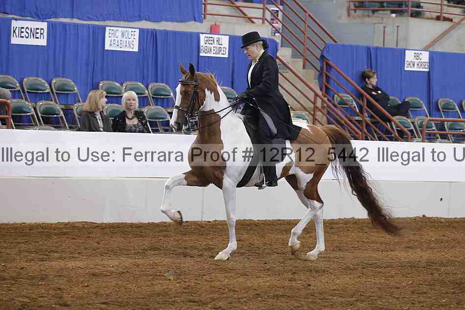Proof Number 12r12_5442