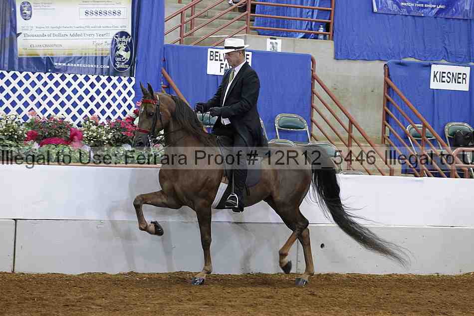 Proof Number 12r12_5446
