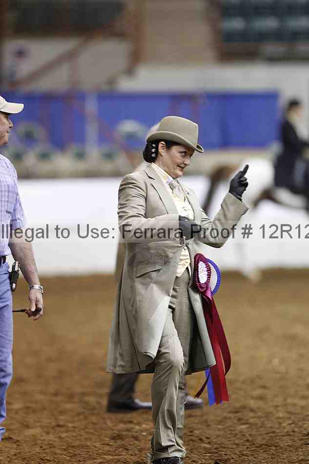 Proof Number 12r12_5470
