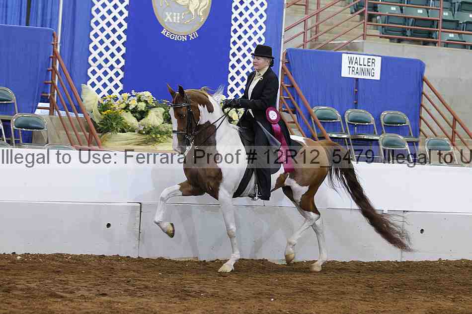 Proof Number 12r12_5479