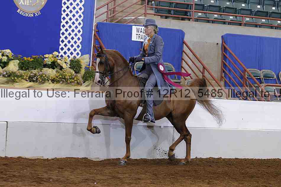 Proof Number 12r12_5485