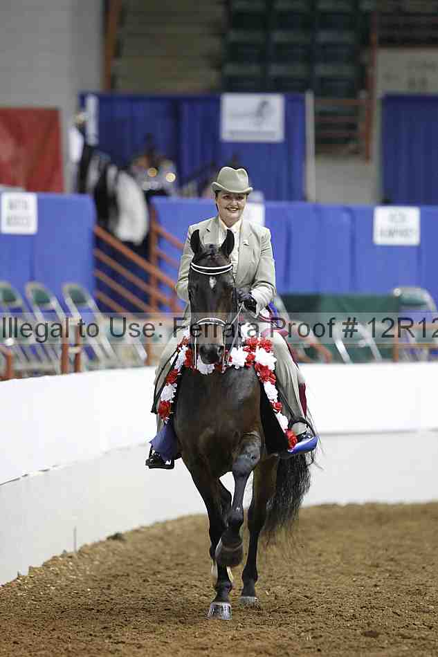 Proof Number 12r12_5486