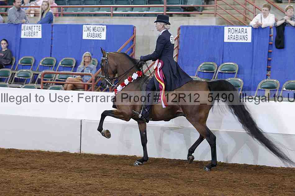 Proof Number 12r12_5490
