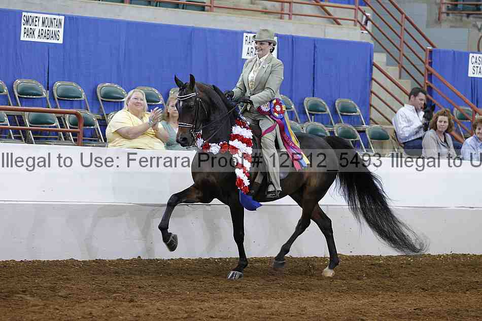 Proof Number 12r12_5493
