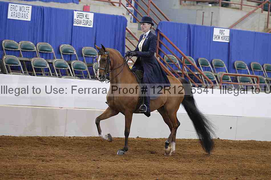 Proof Number 12r12_5541
