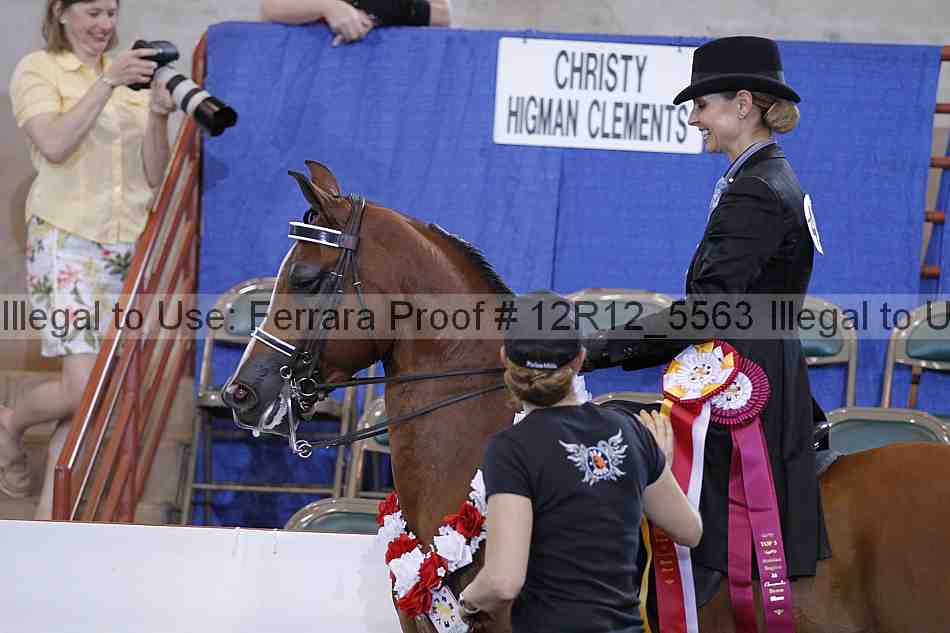 Proof Number 12r12_5563