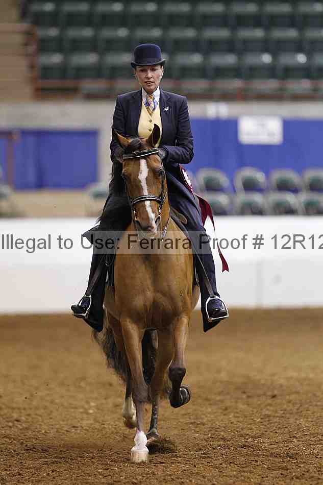 Proof Number 12r12_5584