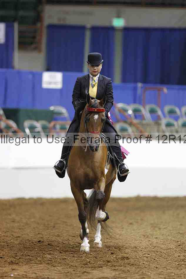 Proof Number 12r12_5590