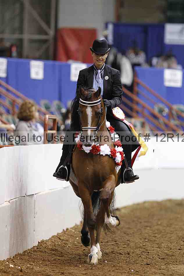 Proof Number 12r12_5593