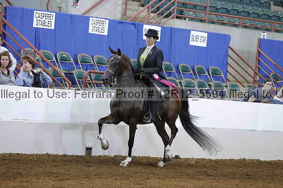 Proof Number 12r12_5594