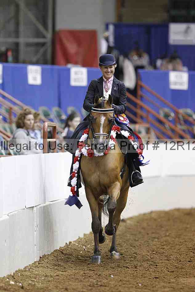 Proof Number 12r12_5597