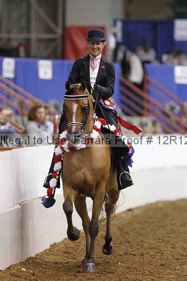 Proof Number 12r12_5598