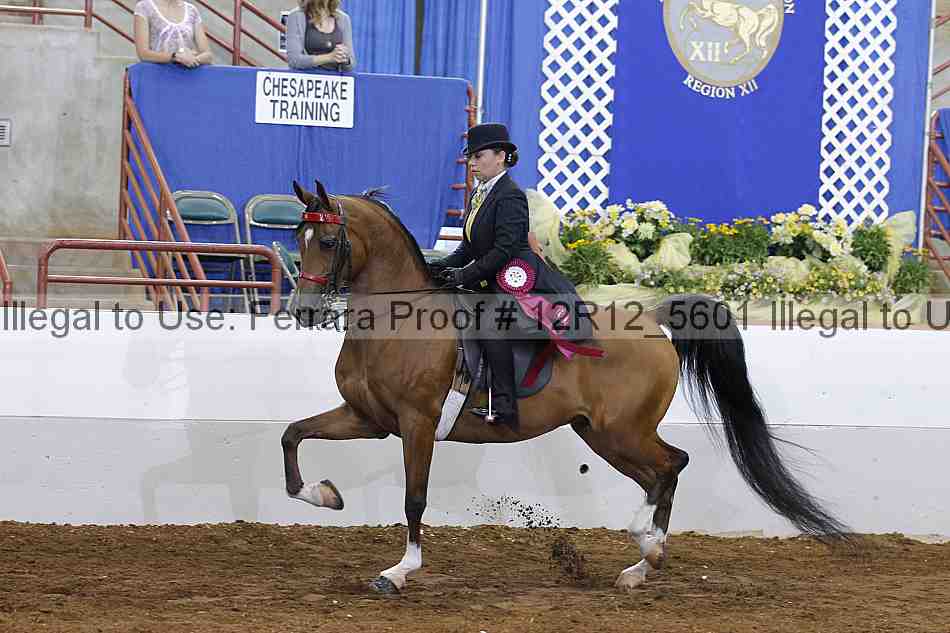 Proof Number 12r12_5601