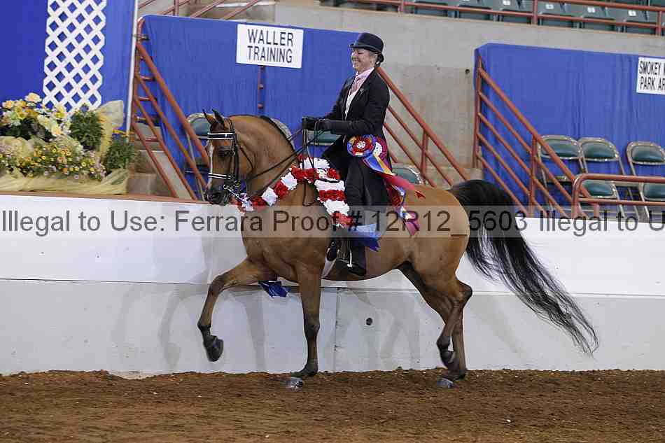 Proof Number 12r12_5603