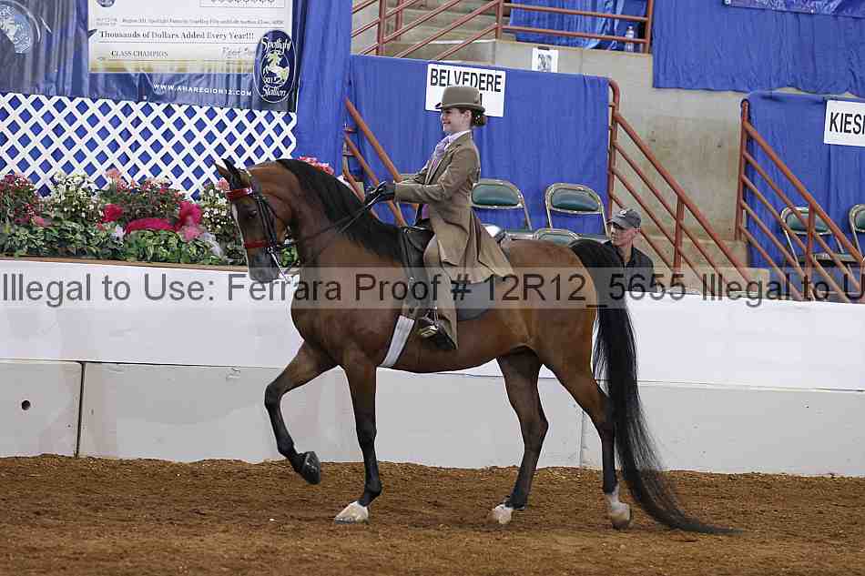 Proof Number 12r12_5655