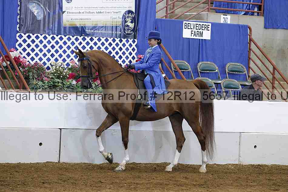 Proof Number 12r12_5657