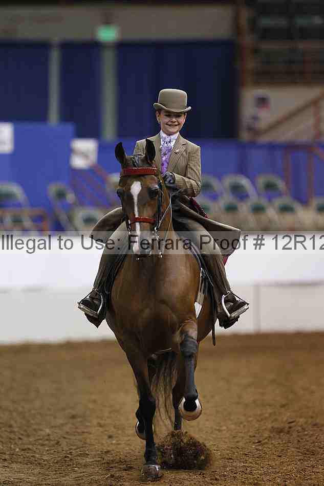 Proof Number 12r12_5704