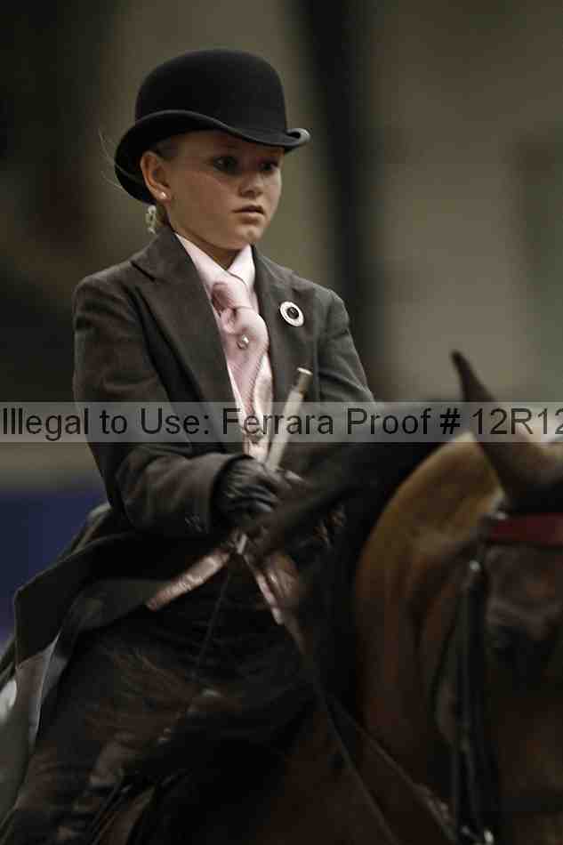 Proof Number 12r12_5709