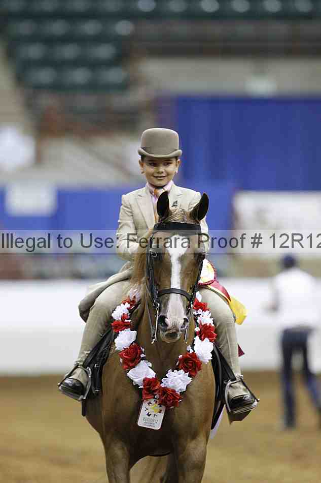Proof Number 12r12_5717