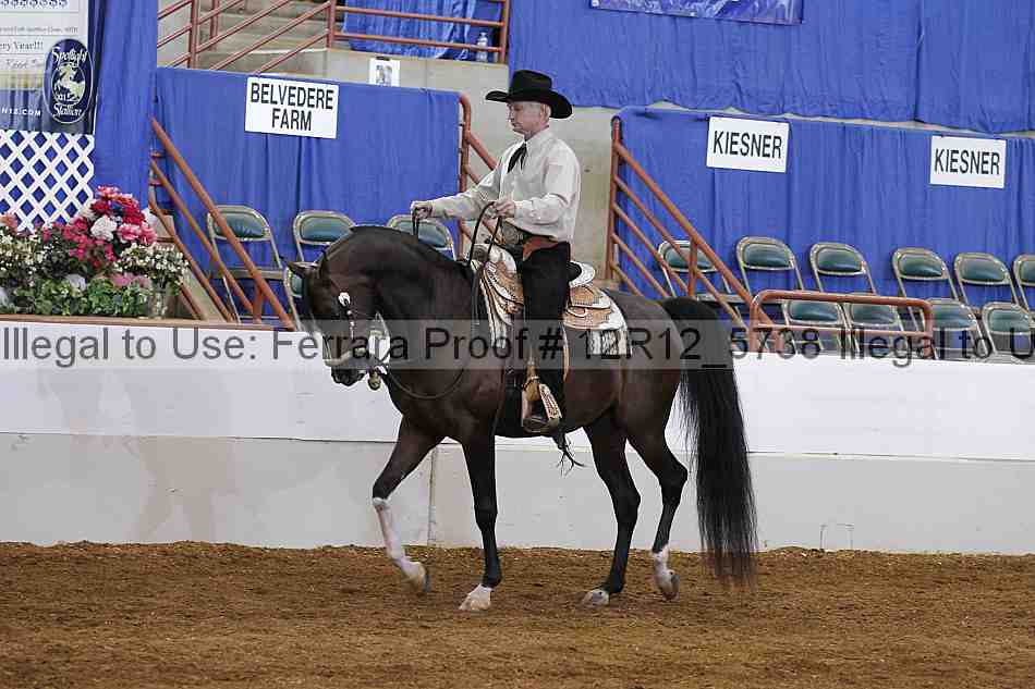 Proof Number 12r12_5738