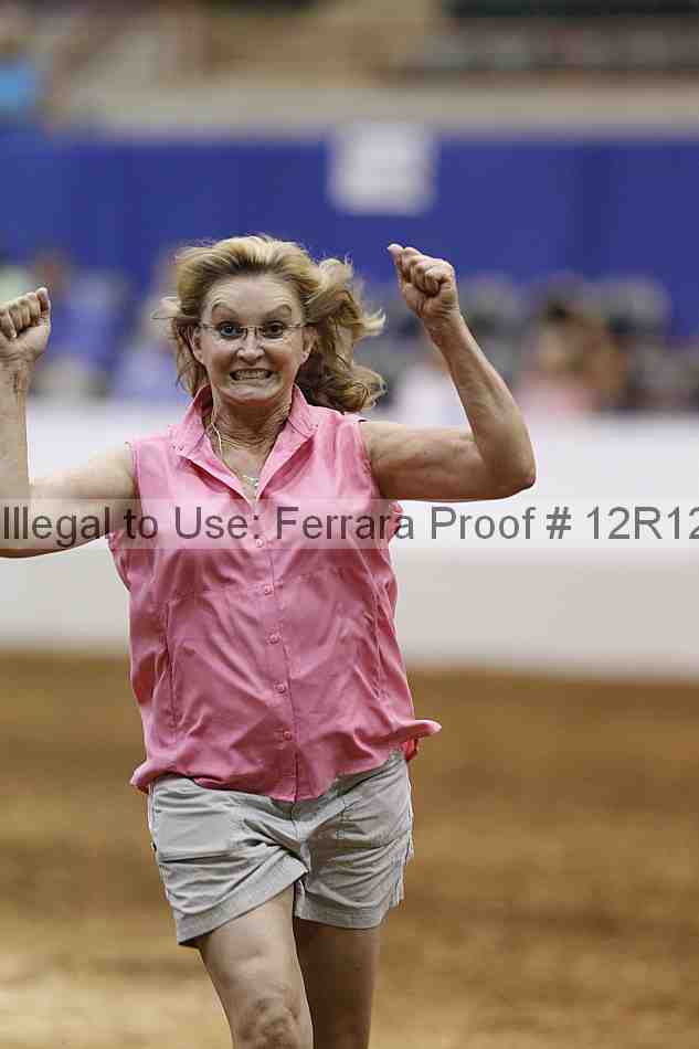 Proof Number 12r12_5756