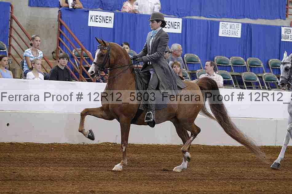 Proof Number 12r12_5803