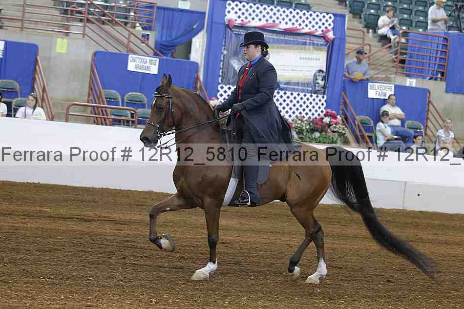 Proof Number 12r12_5810