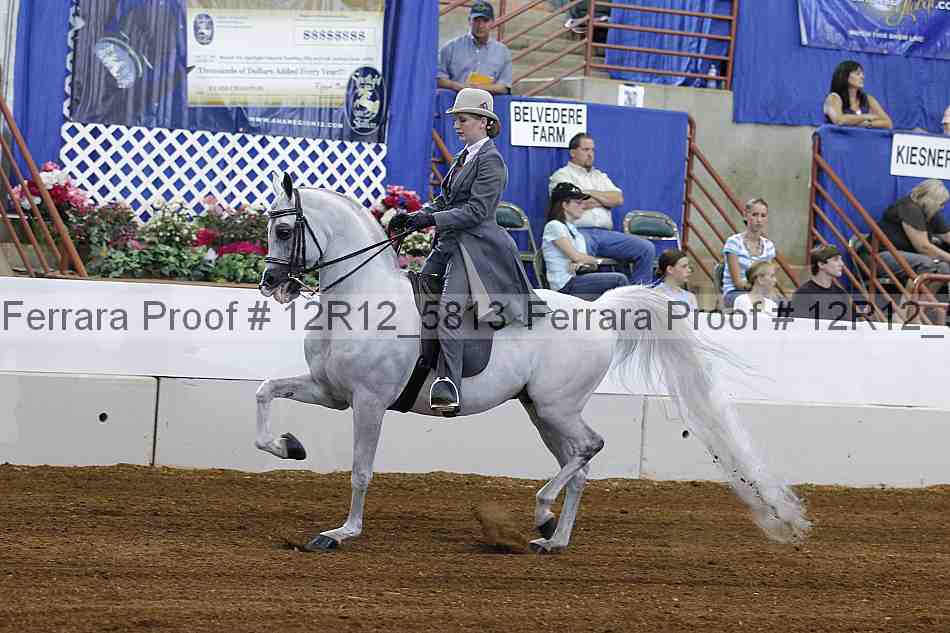 Proof Number 12r12_5813