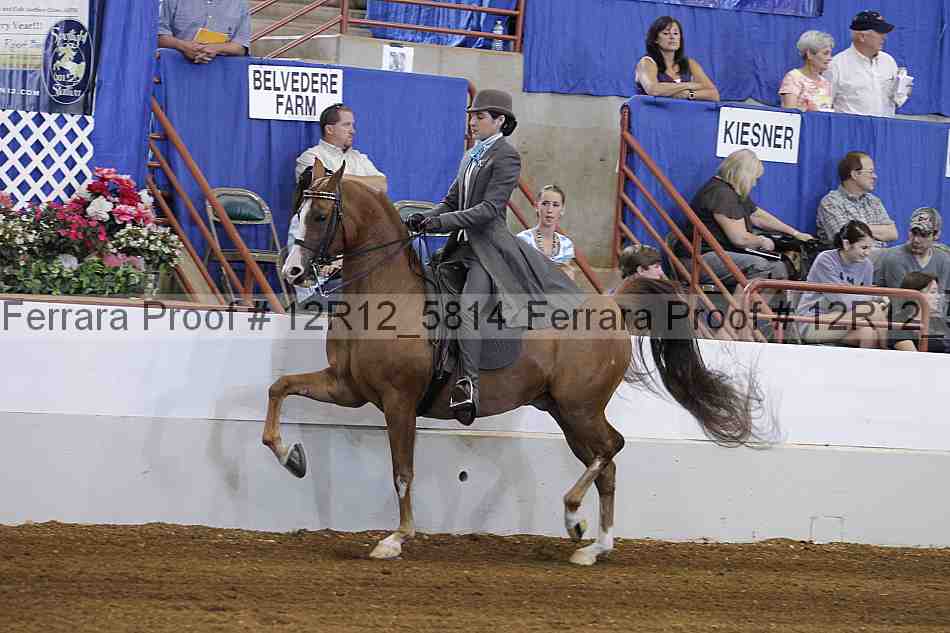 Proof Number 12r12_5814