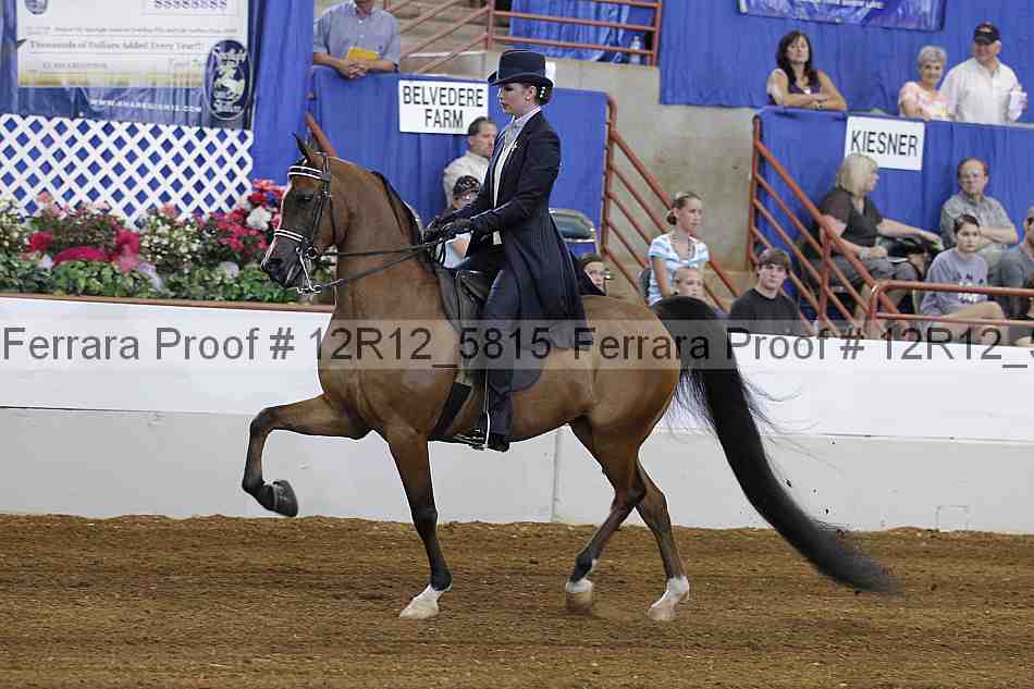 Proof Number 12r12_5815