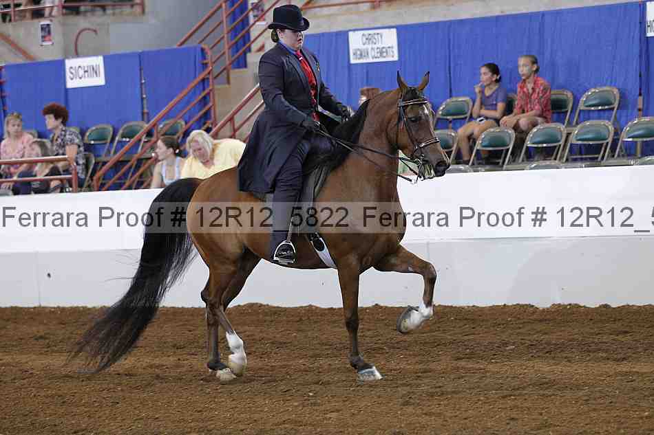 Proof Number 12r12_5822