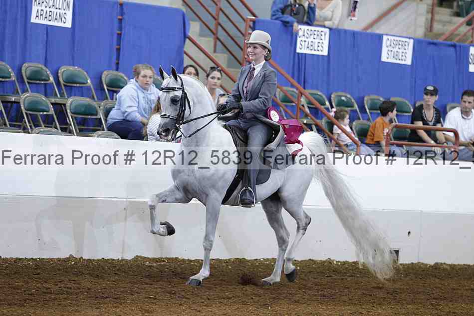Proof Number 12r12_5839