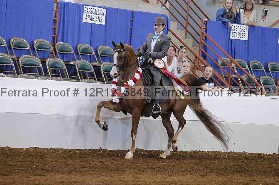 Proof Number 12r12_5849