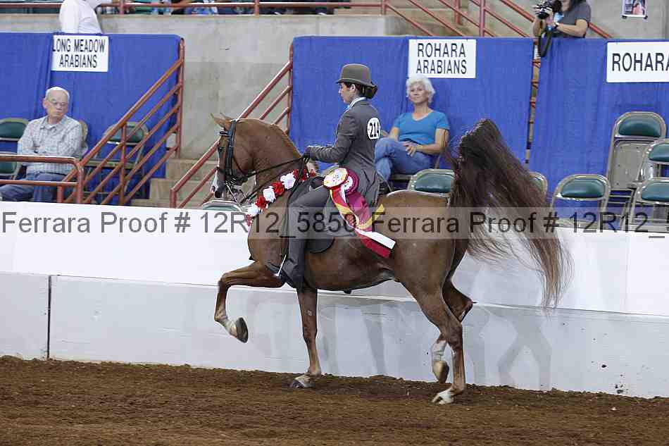 Proof Number 12r12_5850