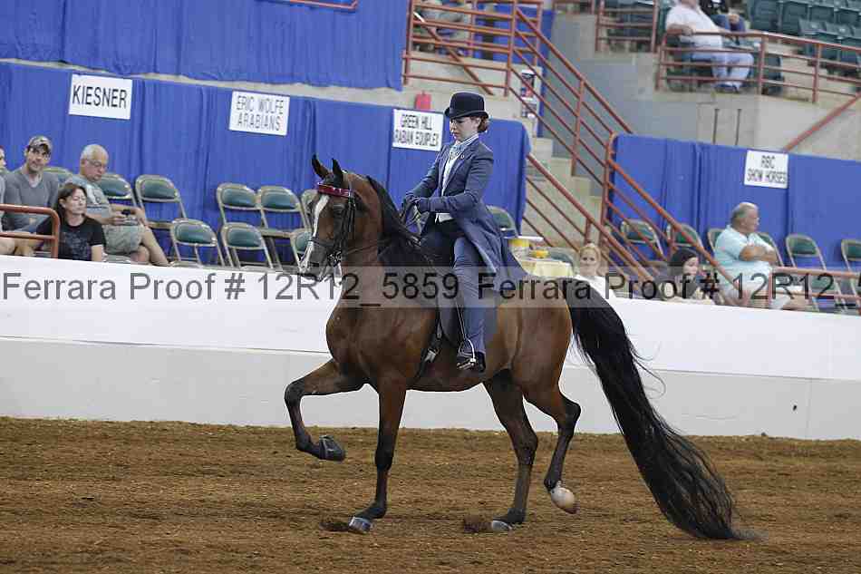 Proof Number 12r12_5859