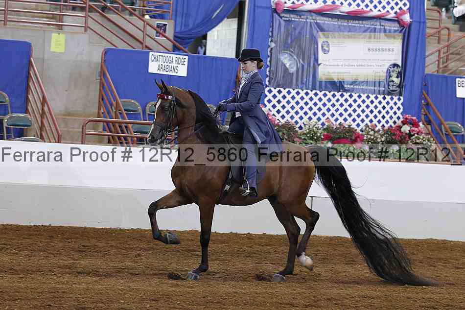 Proof Number 12r12_5860