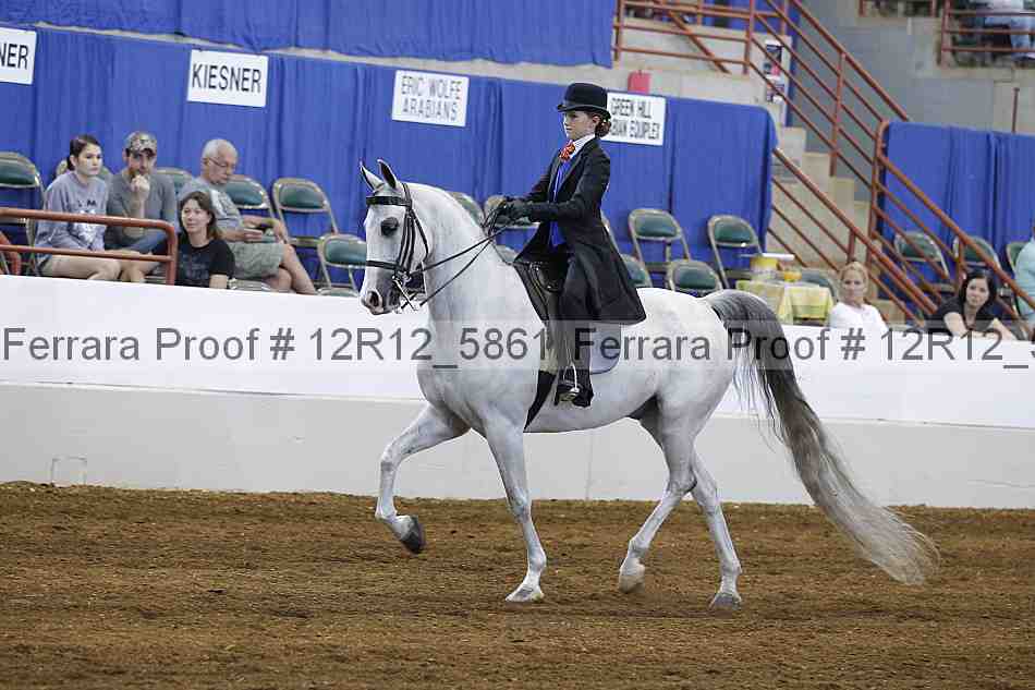 Proof Number 12r12_5861